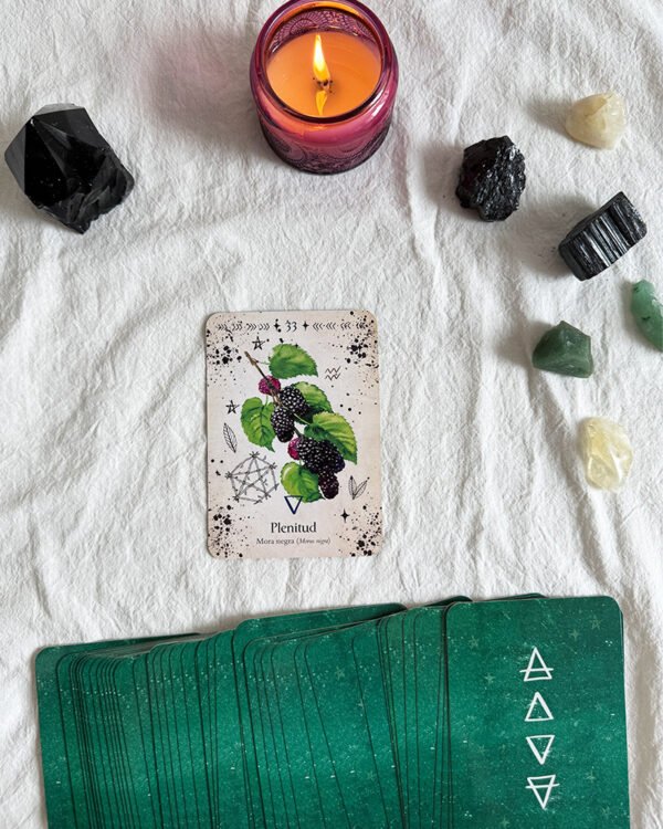 Oráculo de la Bruja Verde - Imagen 3